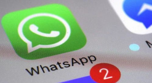 竹篙湾隔离whatsapp,WhatsApp传递的温馨与挑战