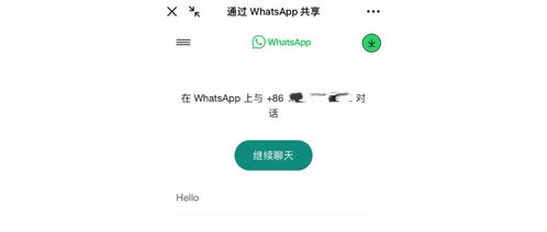 做外贸怎么用whatsapp,WhatsApp应用攻略与营销策略全解析