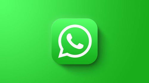 浙江发来whatsapp代码,WhatsApp代码背后的创新与智慧