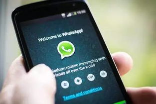中国可以使用whatsapp语音通话吗,中国地区WhatsApp语音通话使用指南