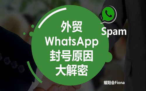 做外贸whatsapp被封号,揭秘外贸人如何应对社交平台封号危机