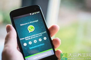 中国使用whatsapp的人多吗,中国使用WhatsApp人数现状分析