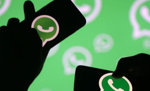 中国whatsapp账号购买,畅享全球沟通新体验