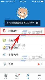 支持usdt的钱包有哪些银行,支持USDT的各大钱包及合作银行一览