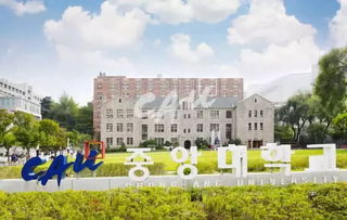 中央大学skype,跨越时空的学术交流新篇章