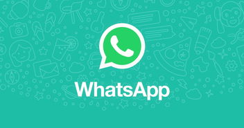 中国哪里用whatsapp的多,中国一线城市白领社交圈中WhatsApp的流行使用情况