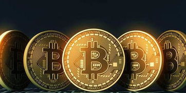 中国自己的加密货币赞丽,引领未来数字货币新纪元