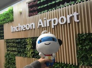 中国加密货币市场发展前景分析,未来发展趋势与投资潜力深度解析