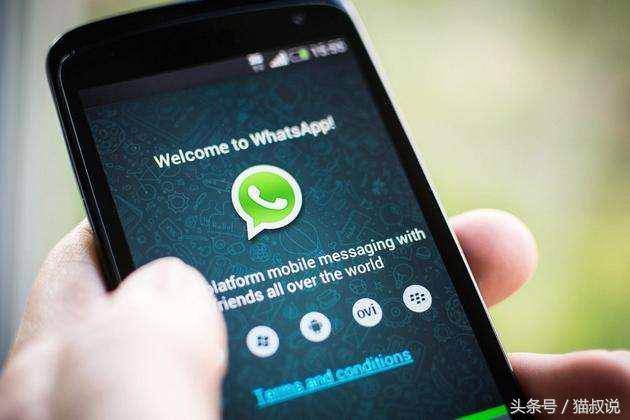 章开发WhatsApp小说,WhatsApp传奇创世记