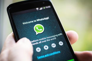 中国怎么用ins和WhatsApp,揭秘中国用户如何安全合规地使用Instagram和WhatsApp