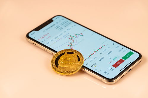 中国加密货币交易所软件,中国加密货币交易所软件发展现状与未来展望