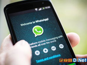 中国纪委监听whatsapp,技术手段与法律边界探讨”