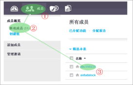 自己的skype名字怎么查,探寻个性与创意的碰撞