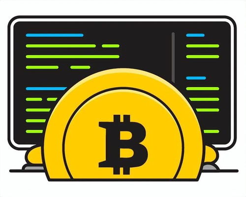 自己建加密货币的软件,基于自主研发技术的加密货币平台概述