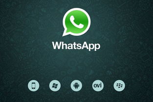 中国使用whatsapp收费吗,中国使用WhatsApp是否需要付费？全面解析