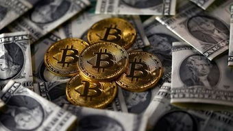 真正加密货币,技术原理、种类特性与市场趋势深度解析