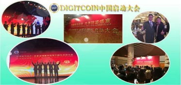 加密数字货币dgc交易,技术、风险与未来展望