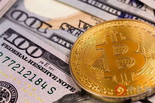 加密货币最新款式图片,最新加密货币设计图鉴解析