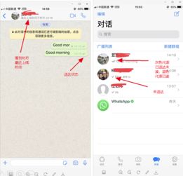 看不到WhatsApp头像,揭秘原因与应对策略