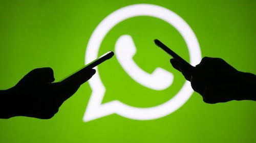 中国能不能使用whatsapp,“中国地区WhatsApp使用现状解析”