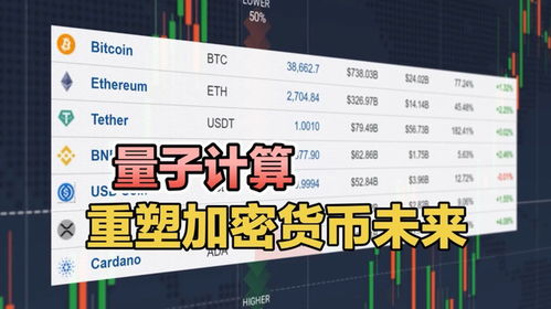 加密货币与量子,探索未来加密技术的演变