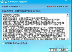 进不去Skype会议,排查与解决指南