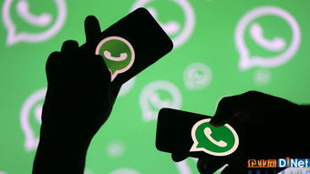 今天突然可以连WhatsApp了,社交互动焕然一新