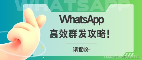 具有更高的whatsapp群发,揭秘高活跃度群组的秘密与魅力