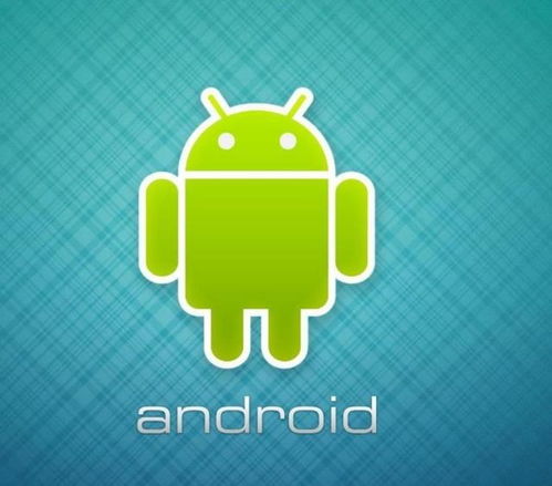 安卓系统如何支持nfs,Android系统支持NFS的配置与优化指南