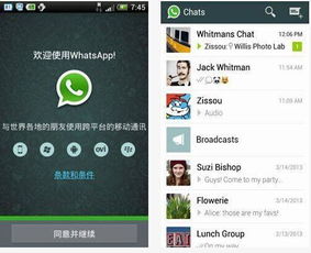 加你whatsapp,轻松生成个性化WhatsApp消息内容