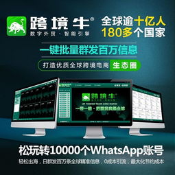 可信赖的whatsapp群控,高效沟通的秘密武器