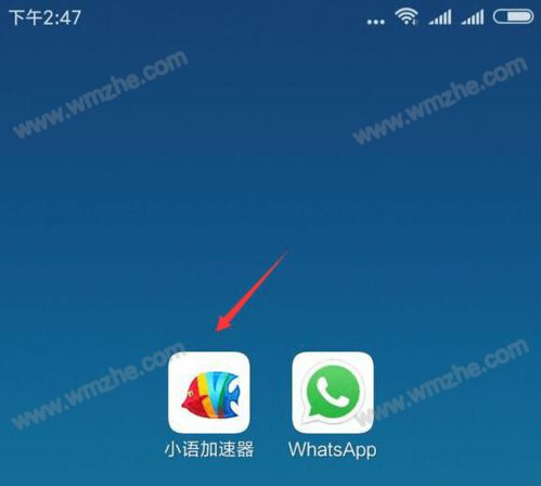 加速whatsapp,副标题优化助力高效沟通