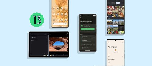 安卓13系统在哪看,探索系统设置与隐私保护新篇章