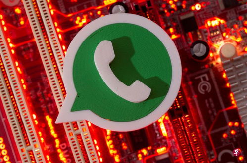 警方会用whatsapp办案嘛,警方办案是否使用WhatsApp？