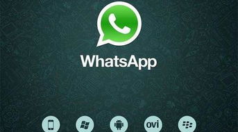 警察whatsapp,守护平安的数字防线