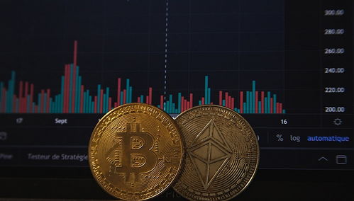 加密货币主题的信息之夜,加密货币的崛起与影响解析