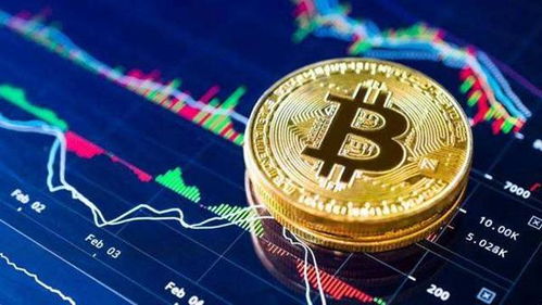 加密货币执行者排行榜,最新执行者排行榜解析