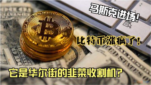 加密货币怎么割韭菜,如何识别和防范“割韭菜”陷阱