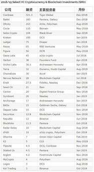加密货币早期采用者,见证加密货币崛起之路