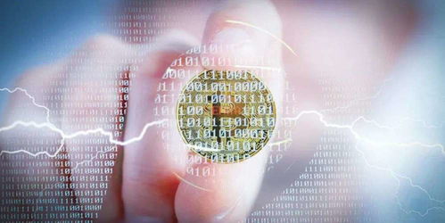 加密货币中的大佬,解码加密货币大佬的崛起与挑战