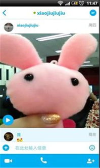 交友软件skype,跨越时空的虚拟邂逅