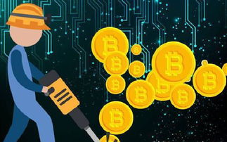 加密货币走势软件排行,热门行情分析软件排行榜解析