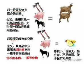 金元加密数字货币,探索未来金融新纪元