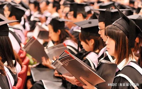 教授 Skype 时间,教授们的在线教学策略与互动技巧深度解析