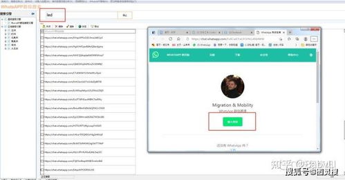 假睫毛whatsapp开发客户,WhatsApp助力假睫毛客户轻松拓展业务