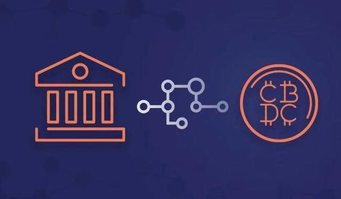 中央负债表加密货币,解析其经济影响与风险挑战