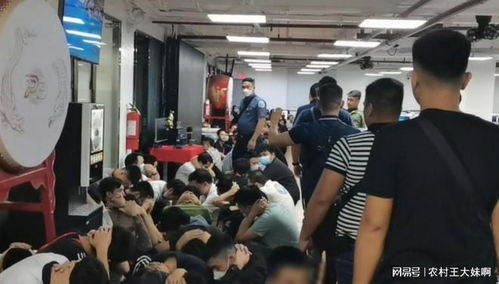 加密货币中国诈骗团伙,涉案金额高达数十亿