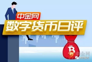 中金网以太坊币,引领区块链技术革新的未来之星