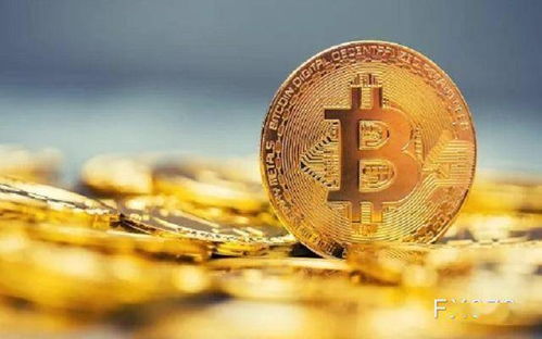 加密货币中国初创公司,加密货币领域的创新力量与未来展望