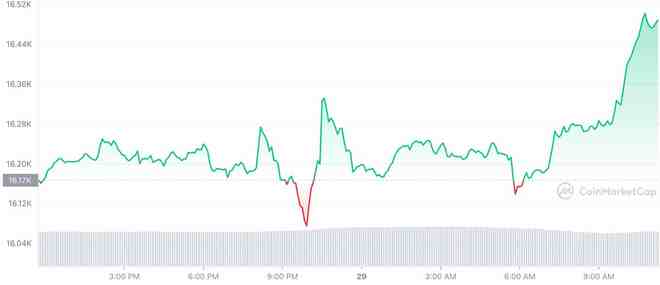 今日加密货币最新走势图,多币种价格波动解析